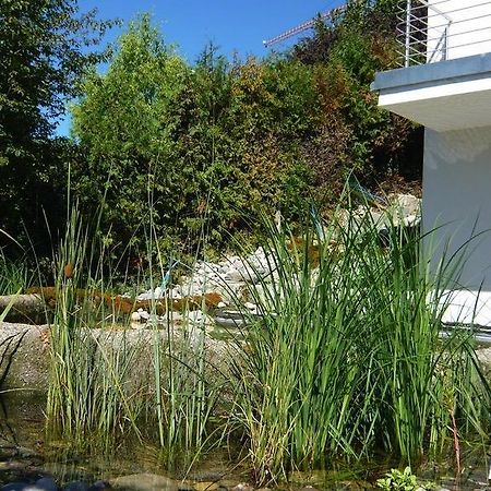 N1 Standalone House Baden Hertenstein Exterior foto