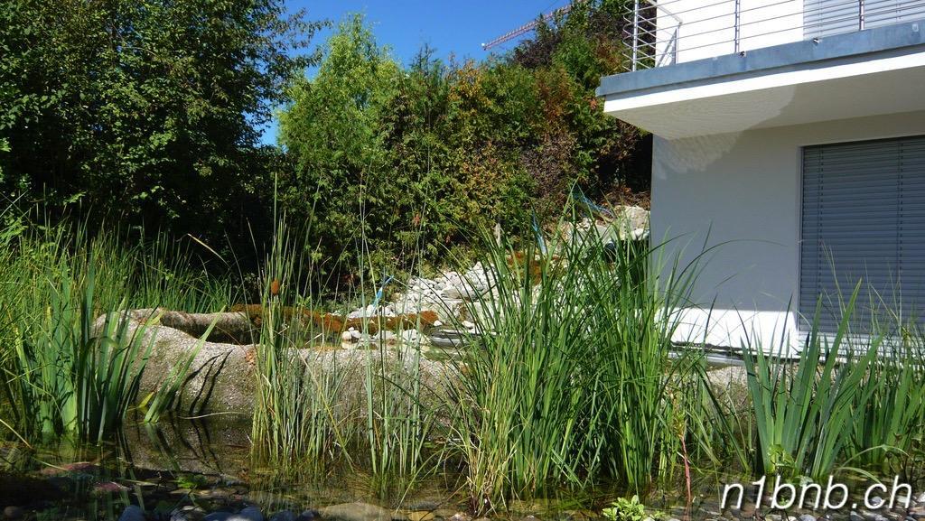 N1 Standalone House Baden Hertenstein Exterior foto