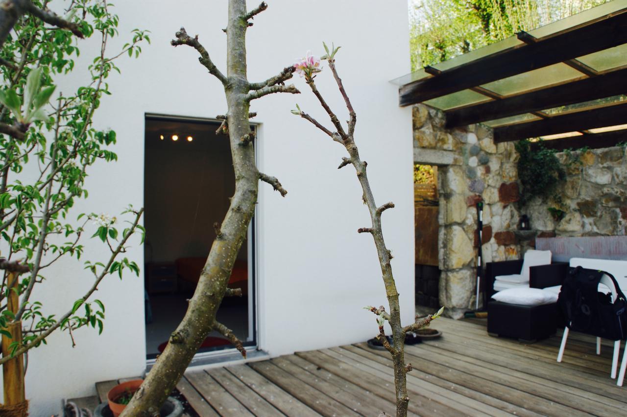 N1 Standalone House Baden Hertenstein Exterior foto